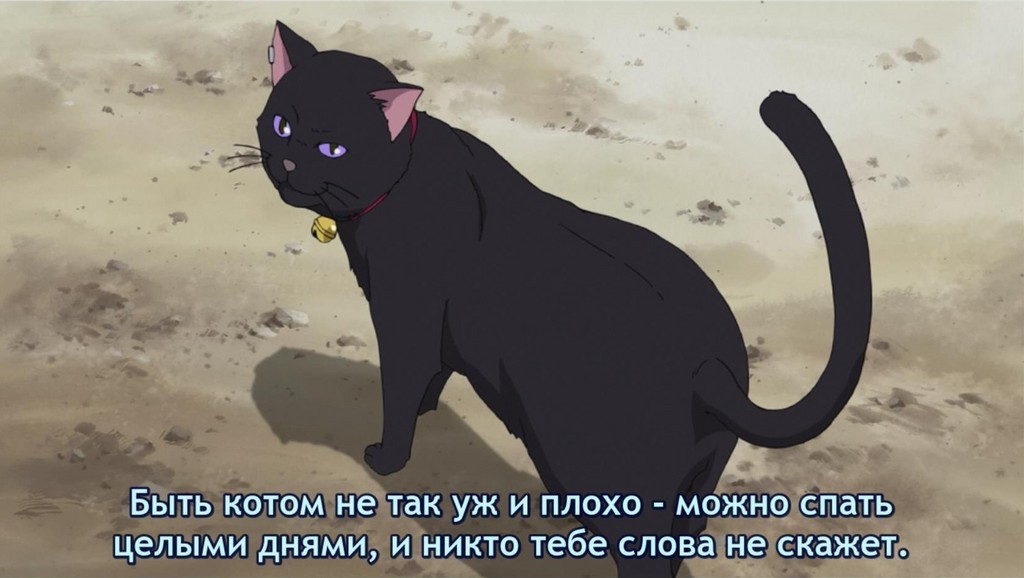 Anime black cat gif